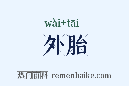 外胎是什么意思的图片